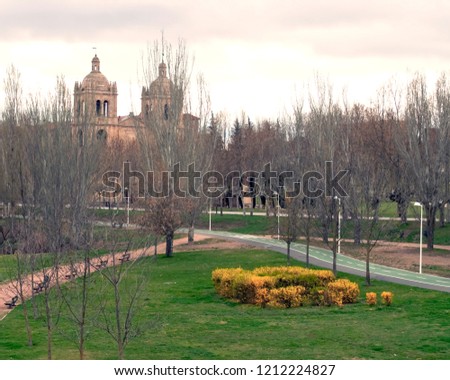Park with flowers and seats in the Spanish city of Salamanca With The cathedral in the background