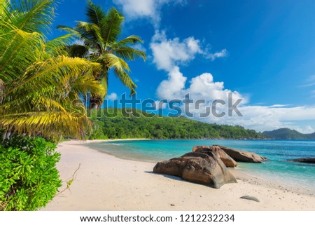 Sandy beach with palm and turquoise sea on Seychelles, Mahe island. Summer vacation and travel concept.  