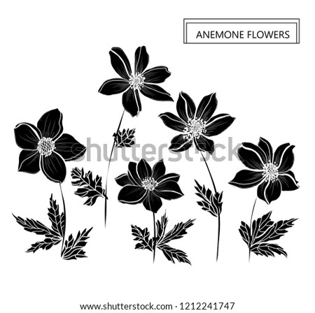 Decorative anemone flowers, design elements. Can be used for cards, invitations, banners, posters, print design. Floral background in line art style
