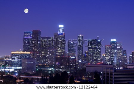 Los Angeles under the moonlight