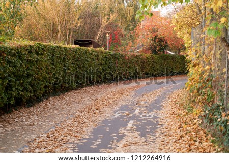 Autumn Bike Lane landscape 1