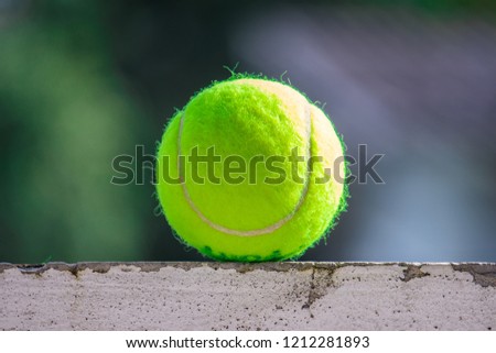 Tennis ball resting on a concrete wall.