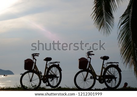 The joy of holiday has come bicycling the beach with the light sunshine in the afternoon of the Asian seas. The coconut side is beautiful.