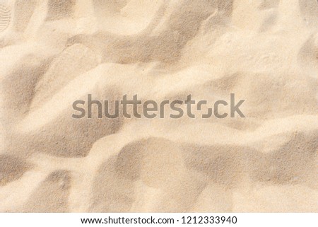 Fine beach sand in the summer sun