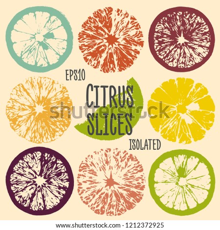 Vector isolated citrus slices. Summer card in retro style