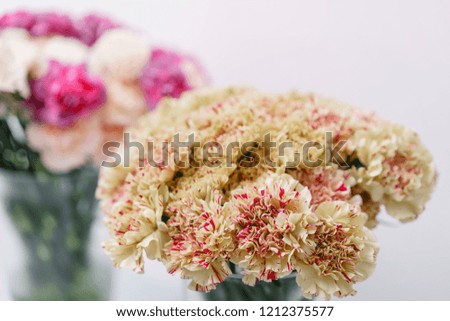 Bouquet of carnation flowers unusual colors, caramel color with specks of red. Spring background. Clove bunch present for Mothers Day.