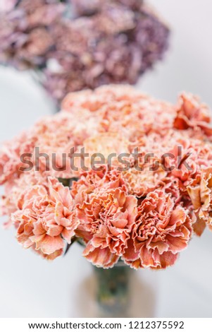Bouquet of carnation flowers coral and peach color. Spring background. Clove bunch present for Mothers Day.