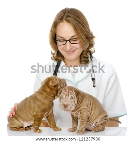 the veterinarian embraces two sharpei puppies dog. isolated on white background