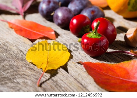 autumn fruits and vegetables on weathered wooden table background