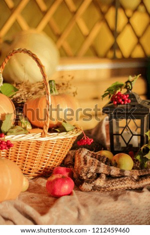 Autumn mood. Orange picture with apples and pumpkins, lamp on the right side.