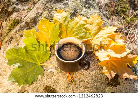 Autumn leaves with a cup of coffee on a rock in the middle of the forest - Sweden