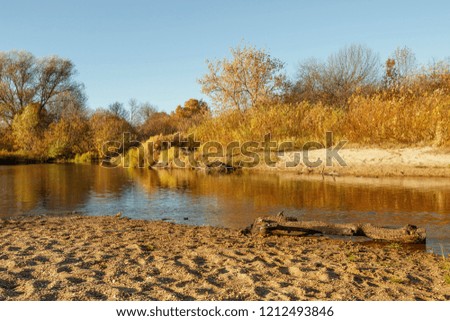 Autumn shores. Autumn landscape at sunset. Russia. Orsha River.
