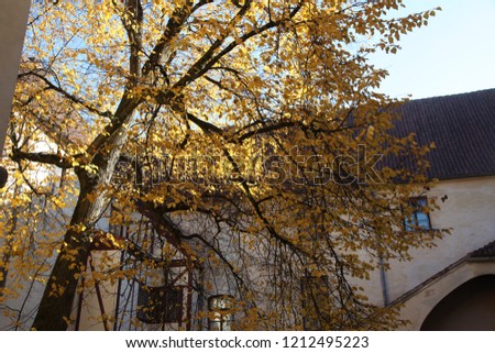 
JAUNPILS/LATVIA – 14 OCTOBER, 2018: Medieval castle in Jaunpils. Fall, autumn. Trees with golden leaves,   

