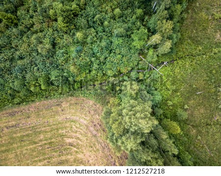 Aerial Drone Photo of the Countryside Forest, Top Down View in Sunny Summer Day - Background Material