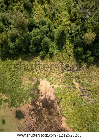 Aerial Drone Photo of the Countryside Forest, Top Down View in Sunny Summer Day - Background Material