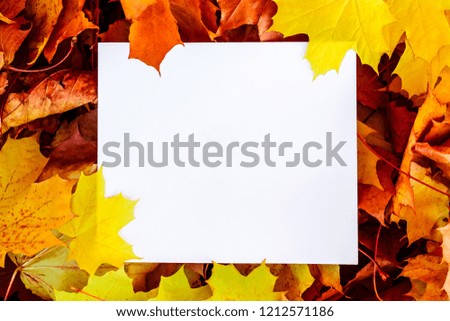 Creative layout made of autumn leaves with paper card note. Flat lay. Nature concept. Top view.