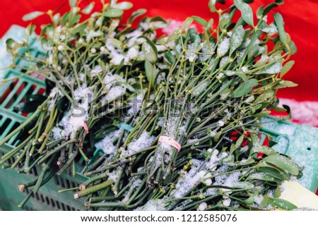 Snow covered mistletoe branches for sale at a Christmas market stall at Christkindlesmarkt in Nuremberg, Bavaria, Germany