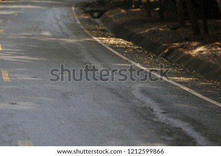 Long straight asphalt road in forest with yellow traffic line.