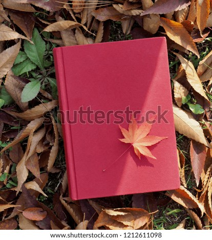 Books and autumn maple leaves