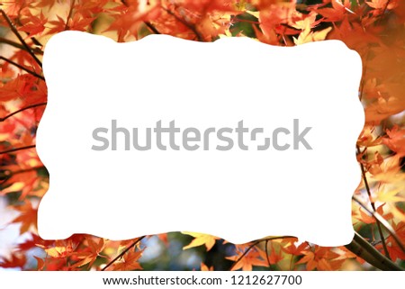 Crumpled white frame on autumn leaves background, place for tex,advertisement idea market promote. empty board for writing digital text design.photo frame placed on transparent background. 