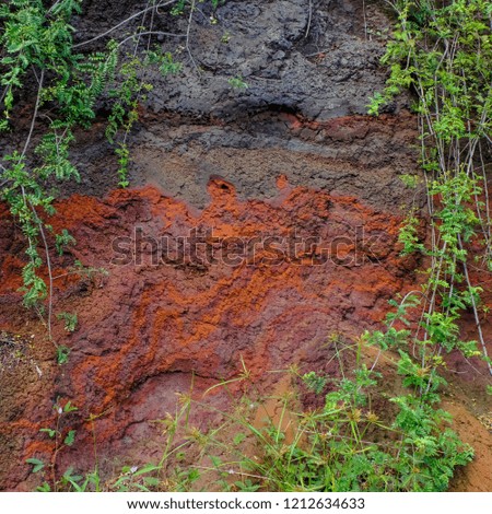 Red earth layer in dirt surrounded by green vegetation, Maui, Hawaii