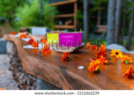 Various colors of silk lantern boats mounted on cedar wood and surrounded by orange flowers on a wooden bench - 5/5 - Wide angle picture taken outside in northern Quebec, Canada
