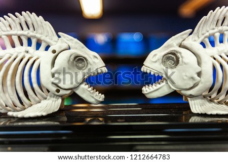 Fish skeleton plastic figurines pictured in front of aquariums full of live fish 3/4 - Picture taken in a petshop environment