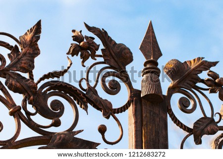 wrought-iron gates, ornamental forging, forged elements close-up.