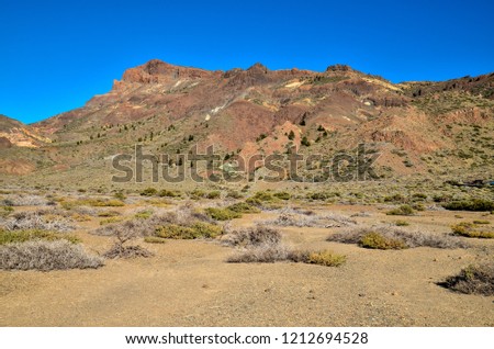 desert in wadi rum jordan, digital photo picture as a background