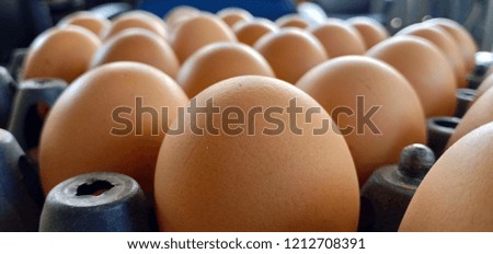 Picture many eggs are placed in a box rady to cooking or sale.