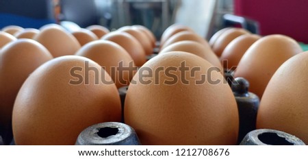 Picture many eggs are placed in a box rady to cooking or sale.