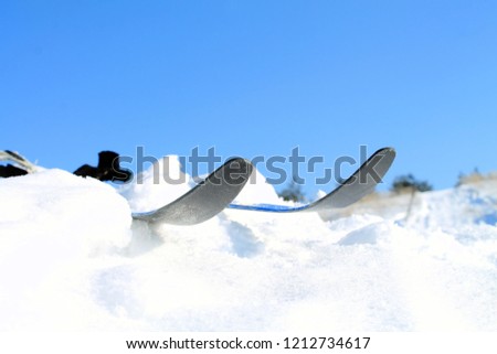woman with skis