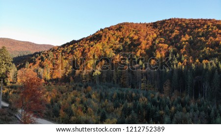 sun over the forest in early autumn in Putna village.