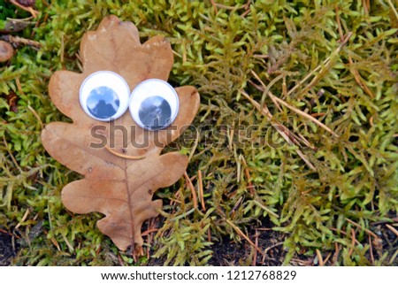 Colorful autumn leaf lies on the ground of wet autumn forest with shaking eyes on it - Funny autumn leaf on moss in autumn in nature