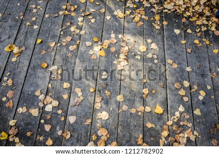 wooden grey background with yellow autumn leaves. 