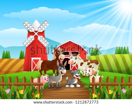 Animals meet in front of cattle warehoouse