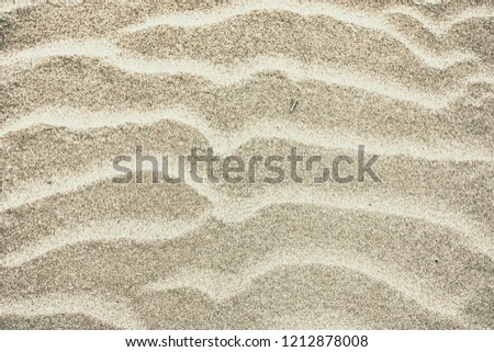 Sand and wood in the beach Royalty-Free Stock Photo #1212878008
