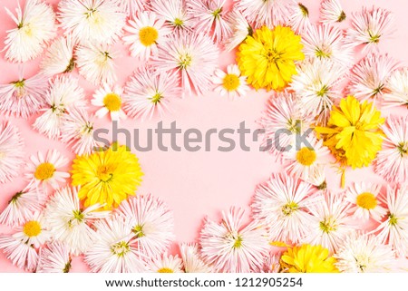 Frame of white asters flowers on a pink background with copy space. Top view.