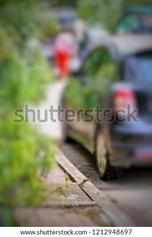 The Varanus salvator emerge from Sanitary Sewer at roadside in Bangkok Thailand. Varanus salvator focus selected image.