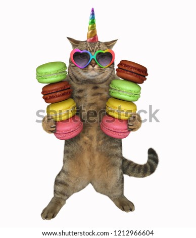 The cat unicorn in sunglasses is holding two stacks of rainbow cookies. White background.