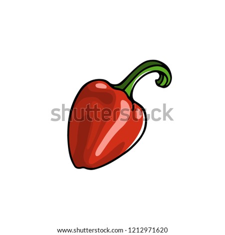 Vector card with hand drawn pepper. Ink drawing, graphic style, beautiful design element