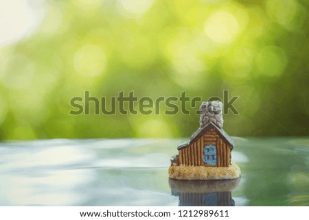 close up toy house on table, green nature copy space background for text, saving money for future, manage to success, home and building business technology concept