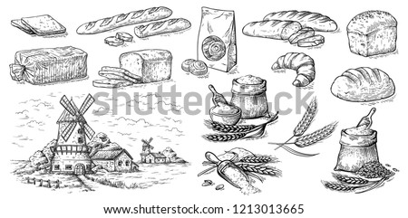 collection of natural elements of bread and flour mill sketch vector illustration Royalty-Free Stock Photo #1213013665