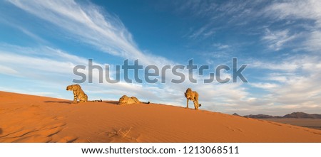 Cheetahs in Kanaan N/a'an ku se Desert Retreat Camp
