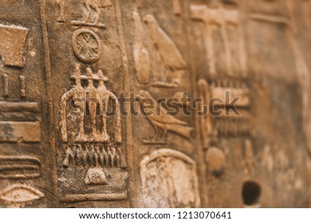 Egyptian hieroglyphs in detail