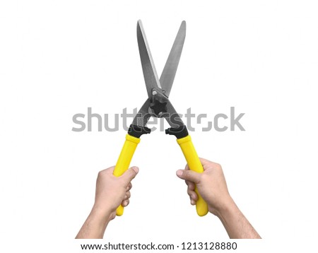 Man cutting with yellow clippers.Gardening secateurs for cutting branches isolated on white background.