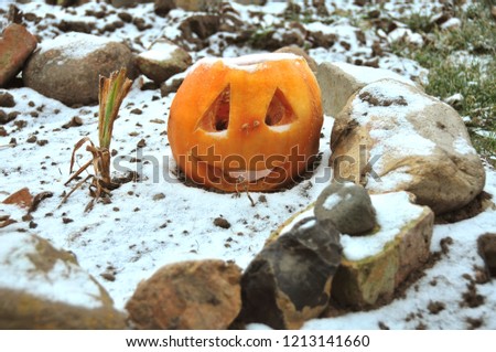 Halloween orange pumpkin on a snowy ground outdoor