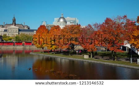 Dome of bonsecours Market in old port of Montreal between two orange maple trees 