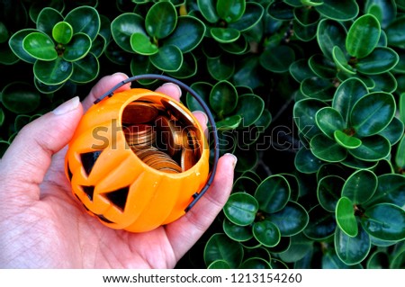 Hand hold pumpkin buckets full with gold coins money in natural tree green leaves background