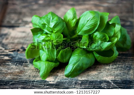 Basil  bunch on wooden table background. Selective focus, shallow depth of field